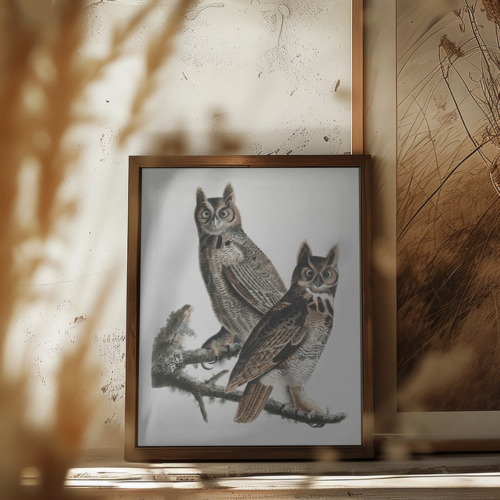 Great Horned Owl From Birds of America (1827) Framed Art Wall Decor