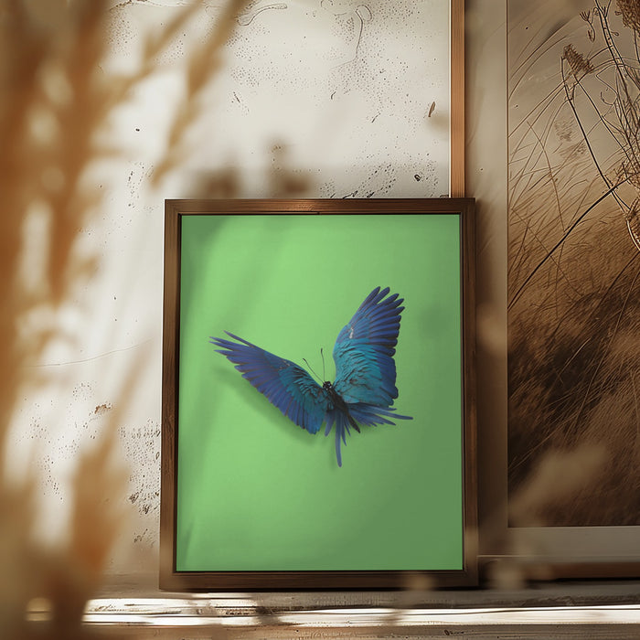 Parrot Butterfly Framed Art Modern Wall Decor