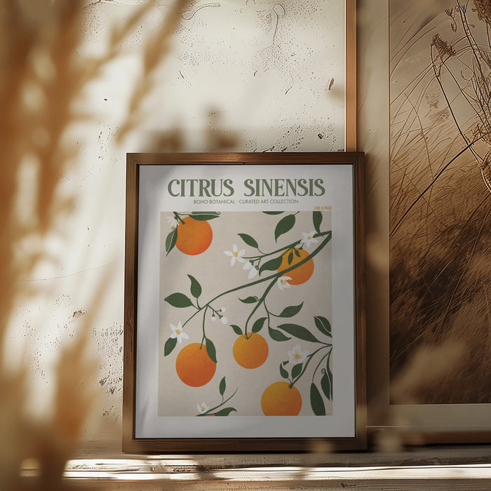 Citrus Framed Art Modern Wall Decor