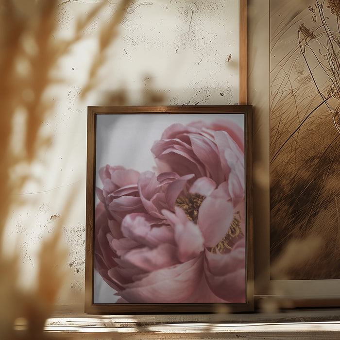 Peony Framed Art Modern Wall Decor