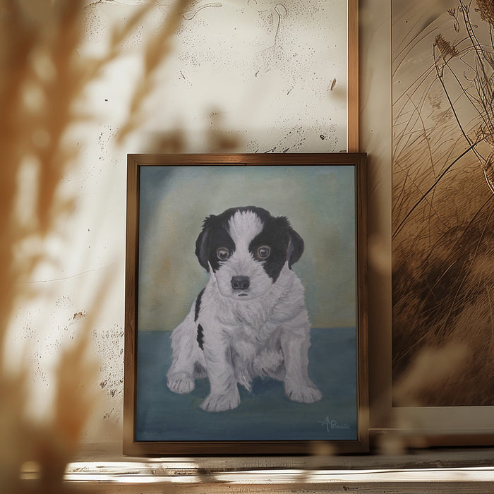 Border Collie Puppy Framed Art Modern Wall Decor