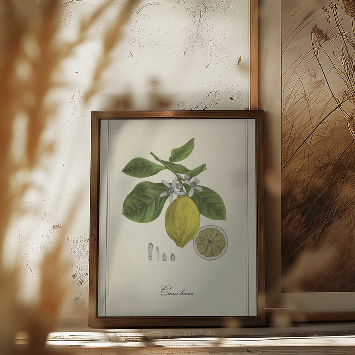 Lemon Framed Art Modern Wall Decor