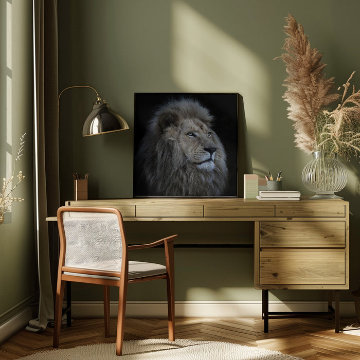 Proud Lion Square Canvas Art Print