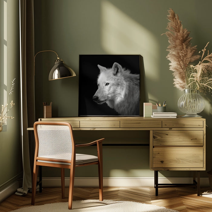 White Wolf #2 Square Canvas Art