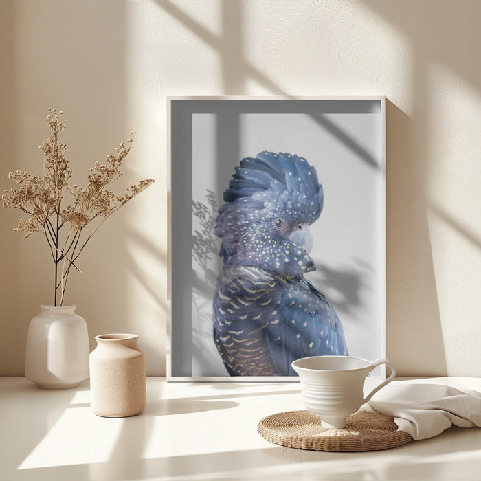 Black Cockatoo Framed Art Wall Decor