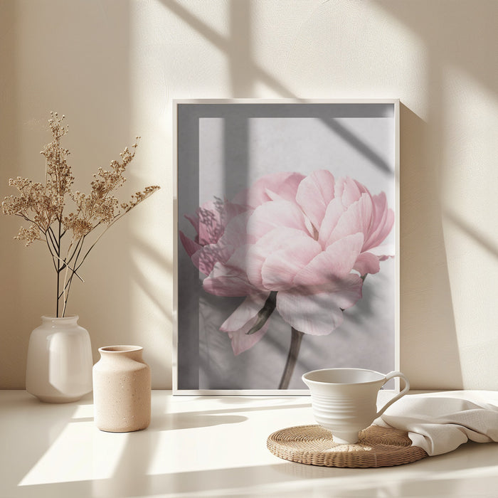 Peony Framed Art Wall Decor