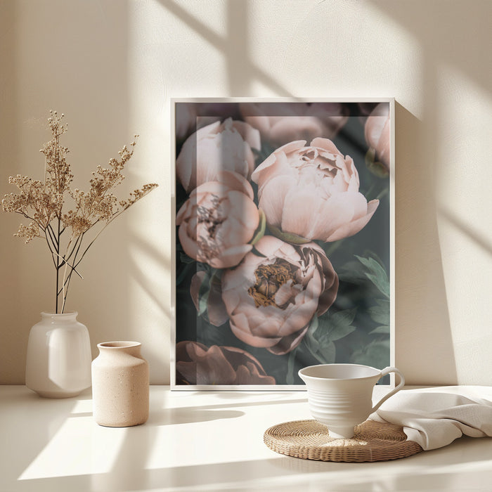 Coral Peonies Framed Art Modern Wall Decor