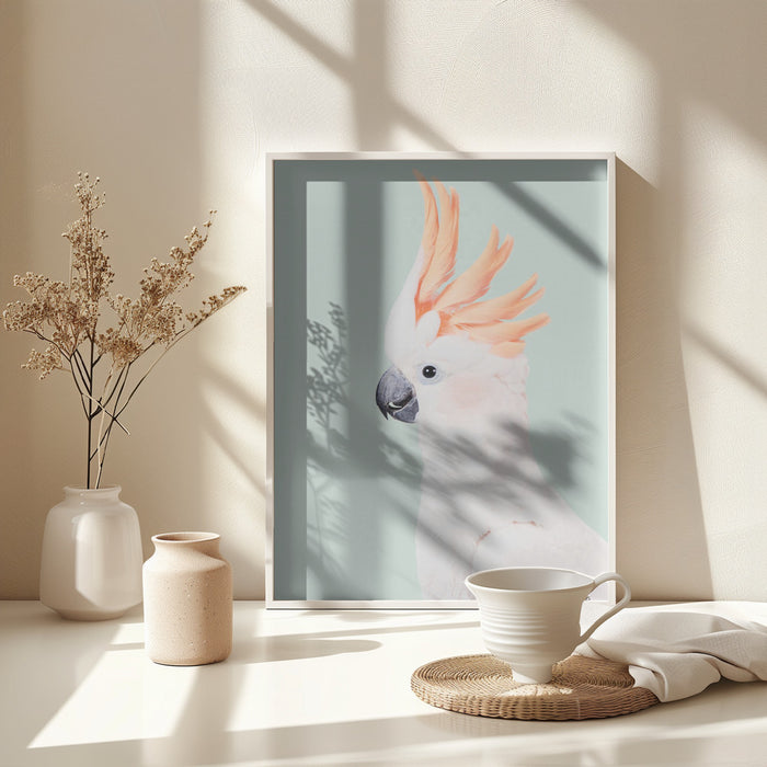 Cockatoo Framed Art Wall Decor