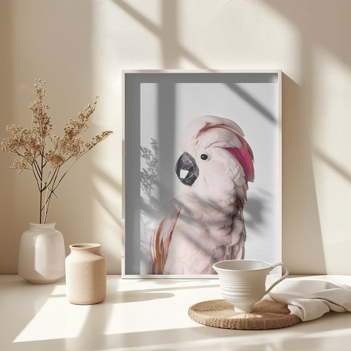 Pink Cockatoo Framed Art Modern Wall Decor