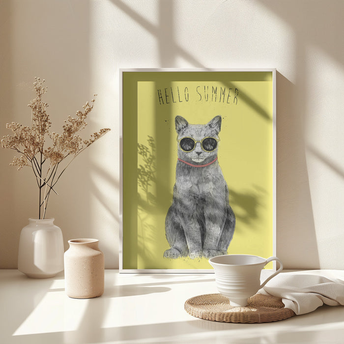 Hello Summer Framed Art Wall Decor