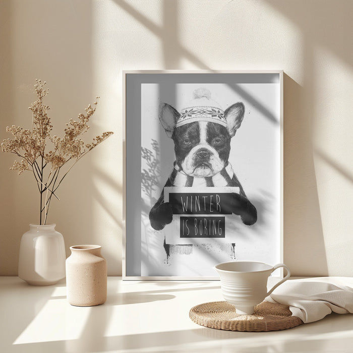 Winter is boring Framed Art Wall Decor