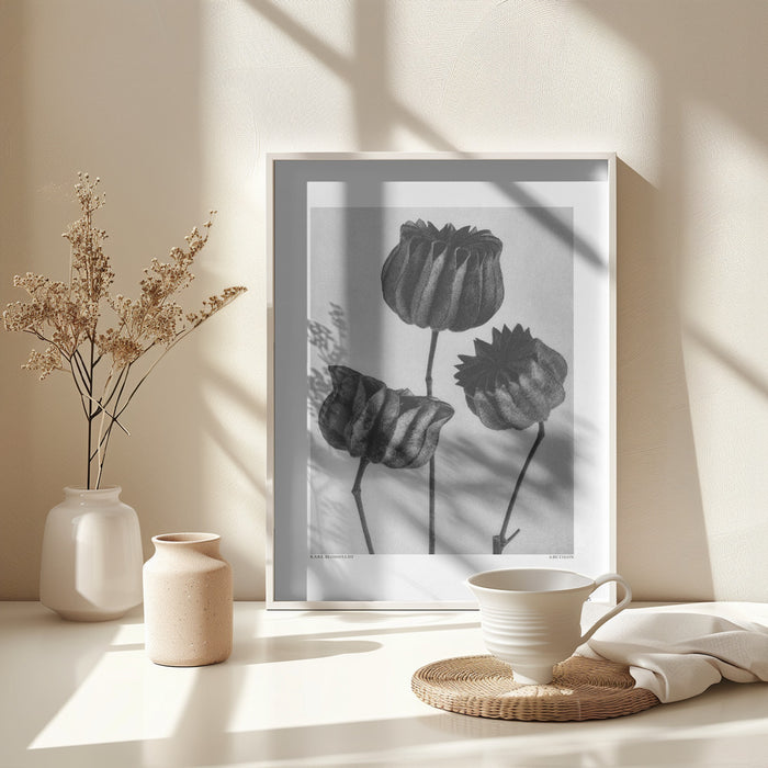 Abutilon (Lime Mallow Framed Art Modern Wall Decor