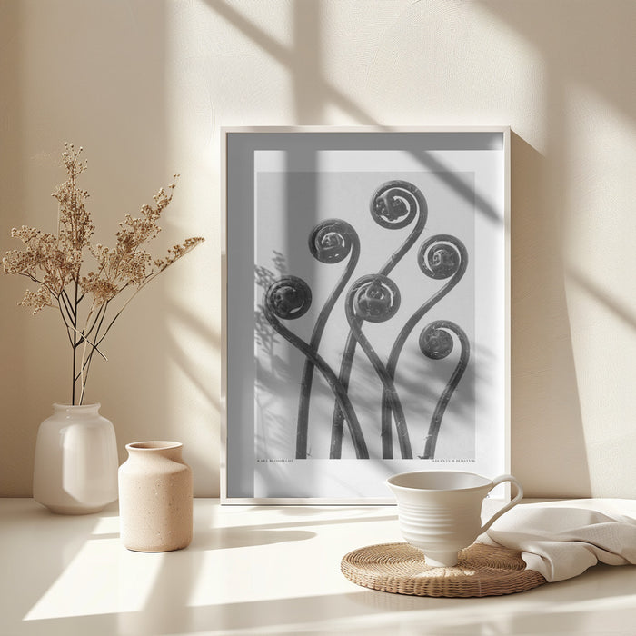 Adiantum pedatum Framed Art Modern Wall Decor