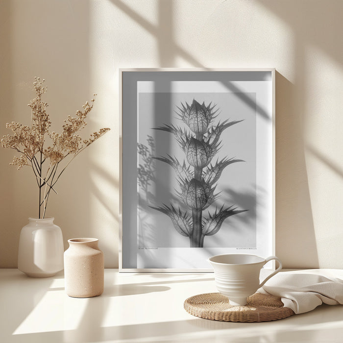 Acanthus mollis Framed Art Modern Wall Decor