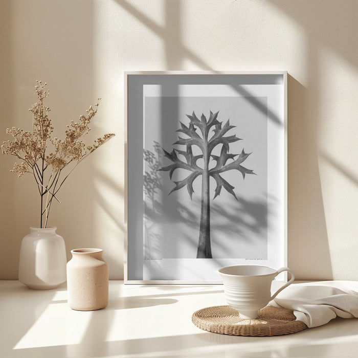 Eryngium Bourgatii Framed Art Modern Wall Decor