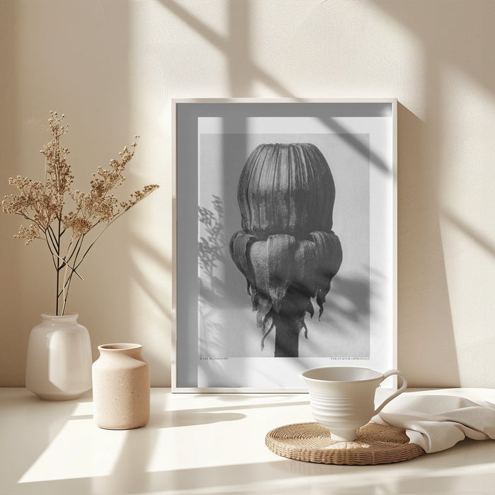 Taraxacum Officinale Framed Art Modern Wall Decor