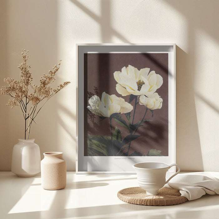 Hærdaceous Peony Framed Art Modern Wall Decor