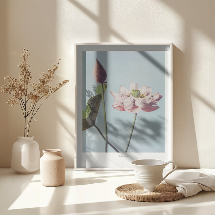 Lotus Flowers Framed Art Modern Wall Decor