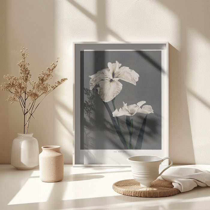 Iris Kæmpferi Framed Art Modern Wall Decor