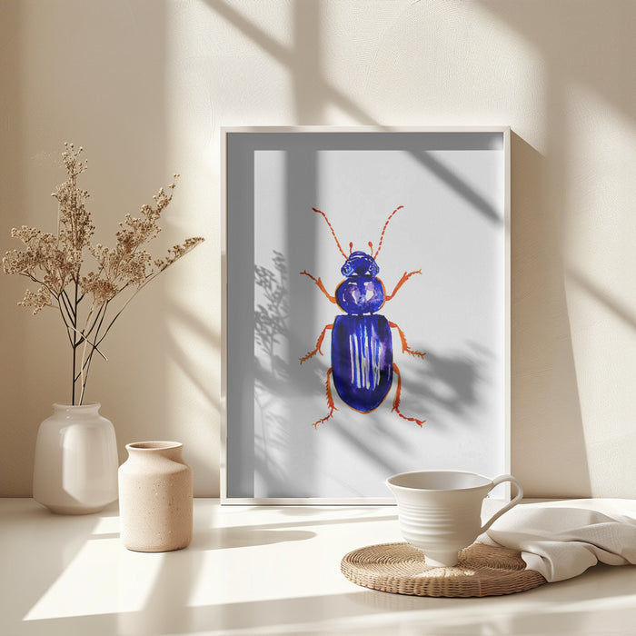 Ophonus minimus Framed Art Wall Decor