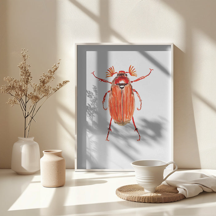 Forest cockchafer or Melolontha hippocastani Framed Art Wall Decor