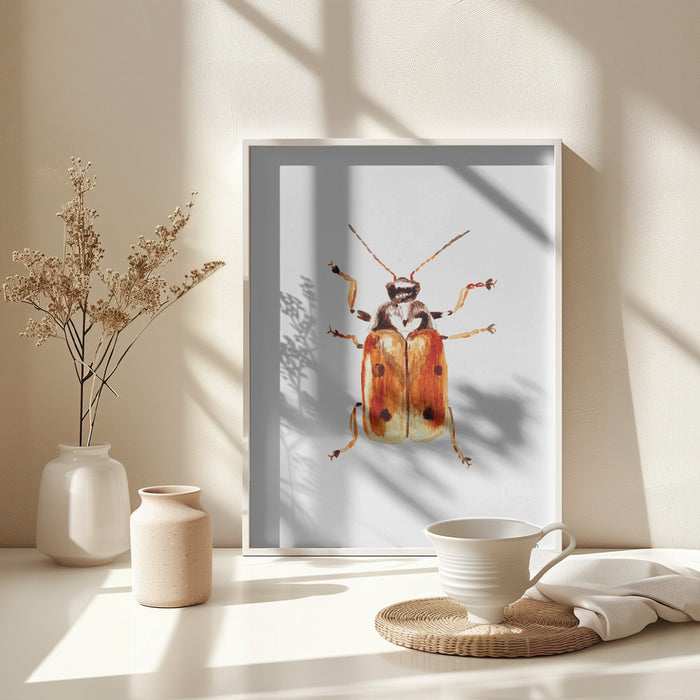 Another leaf beetle the Cryptocephalus cordiger Framed Art Wall Decor