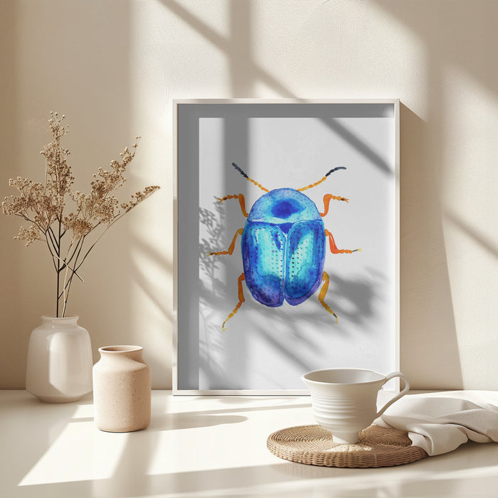 Blue leaf beetle or Colaphus sophiae Framed Art Wall Decor