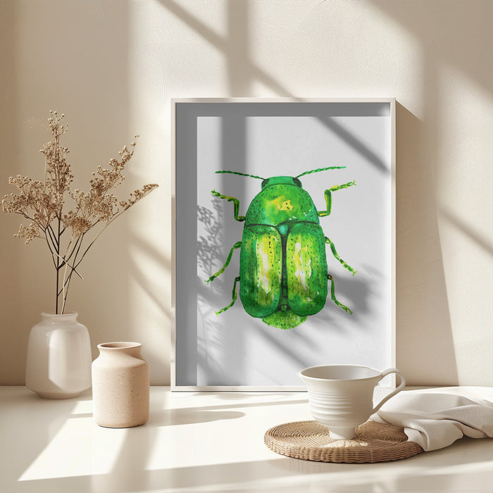 Cylindrical leaf beetle or Cryptocephalus sericeus Framed Art Wall Decor