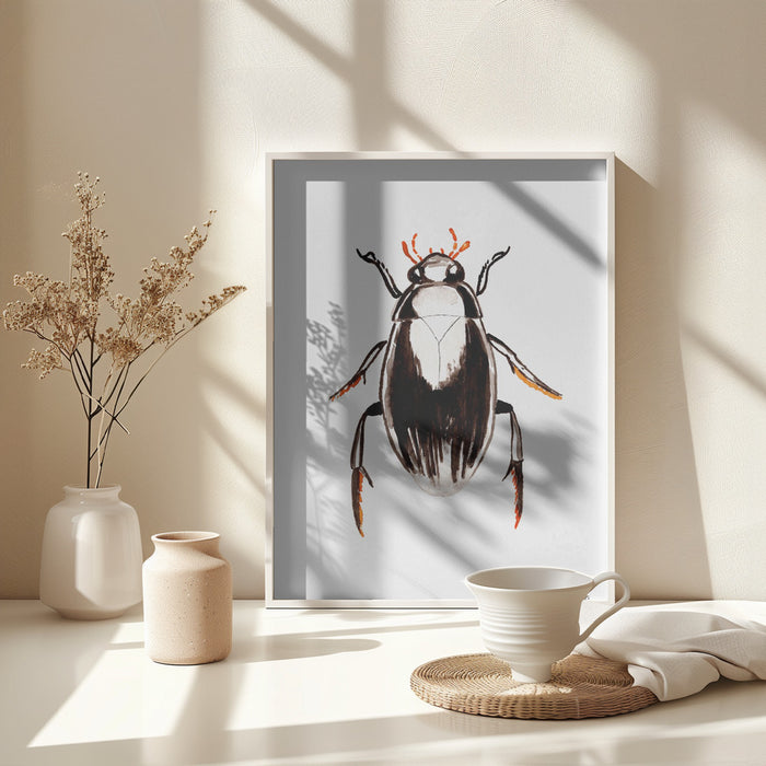 Water scavenger beetle or Hydrophilus aterrimus Framed Art Wall Decor