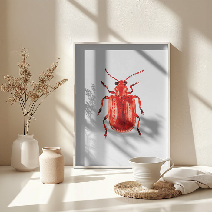 Onion beetle or Lilioceris merdigera Framed Art Wall Decor