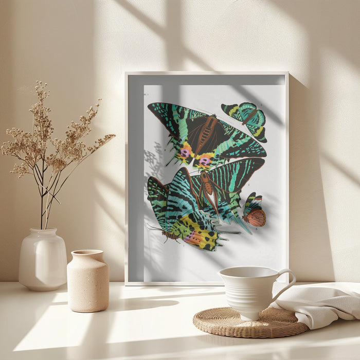 Butterflies 3 Framed Art Wall Decor