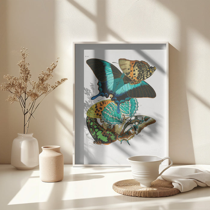 Butterflies 5 Framed Art Wall Decor