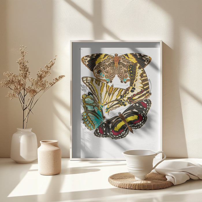 Butterflies 10 Framed Art Wall Decor