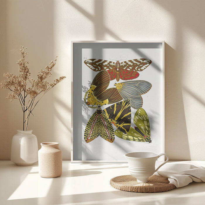 Butterflies 6 Framed Art Wall Decor