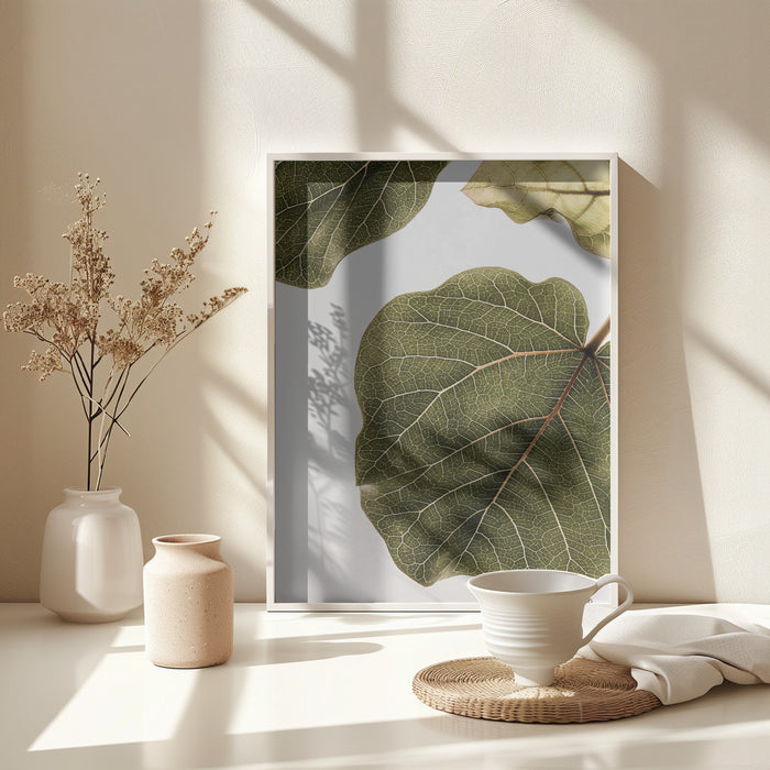 Abutifolia No2 Framed Art Wall Decor