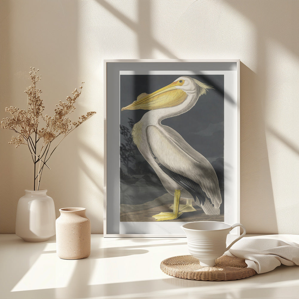 Discover Stunning PELICAN Art: Unique Frames for Your Masterpieces