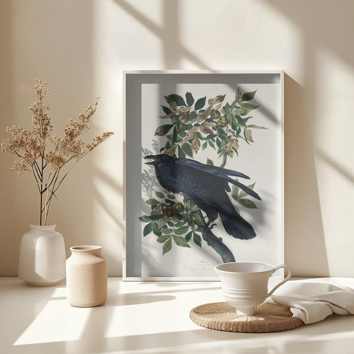 Raven From Birds of America (1827) Framed Art Wall Decor