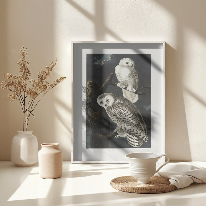 Snowy Owl From Birds of America (1827) Framed Art Wall Decor