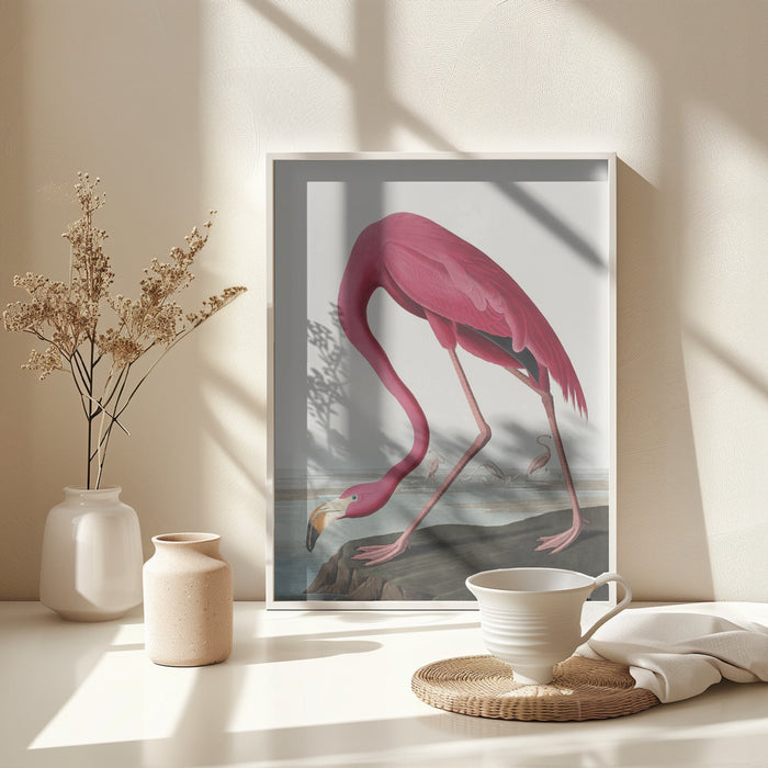 Pink Flamingo Ii From Birds of America (1827) Framed Art Modern Wall Decor