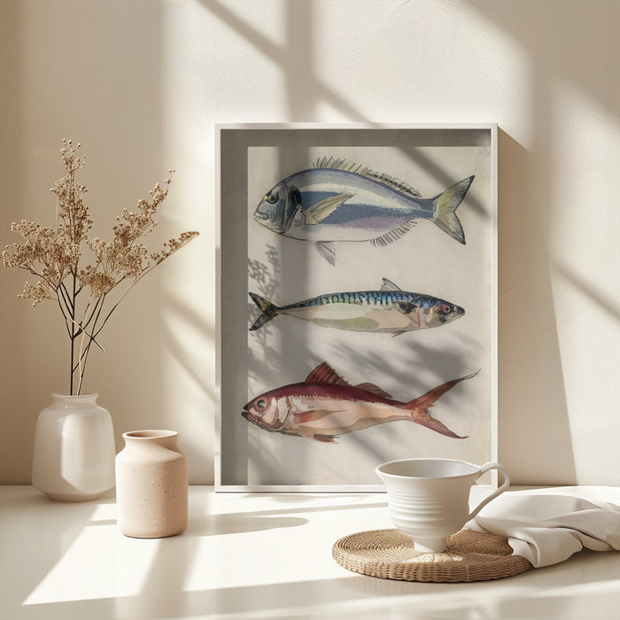 Deniz Baliklari  Fish Framed Art Wall Decor