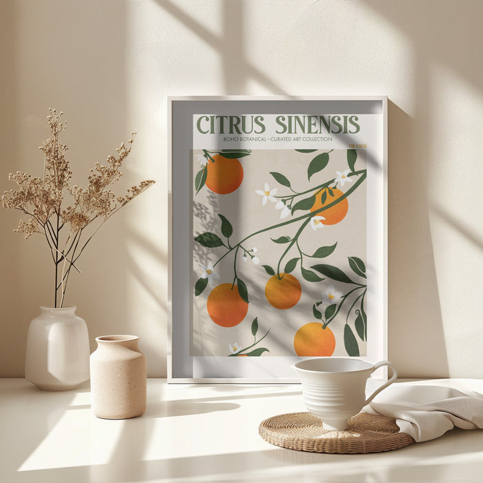 Citrus Framed Art Modern Wall Decor