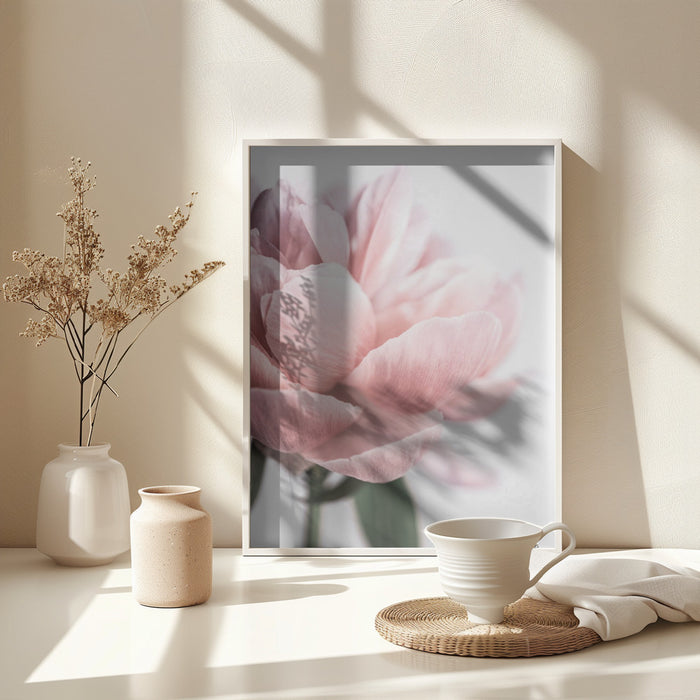 Peony 3 Framed Art Modern Wall Decor