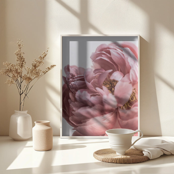 Peony Framed Art Modern Wall Decor