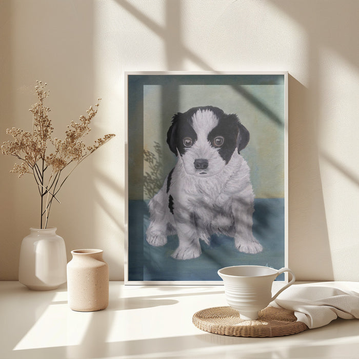 Border Collie Puppy Framed Art Modern Wall Decor