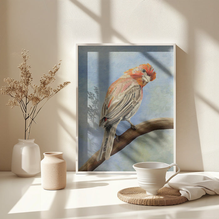 I Spy With My Little Eye   Male House Finch Framed Art Modern Wall Decor