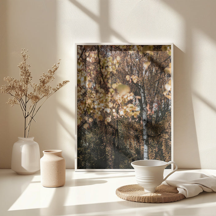 Autumn Birch Tree Framed Art Wall Decor