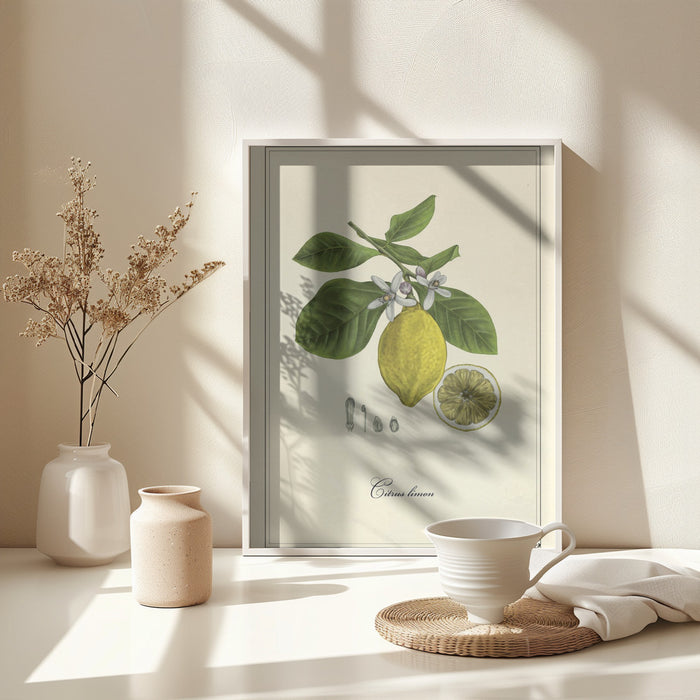 Lemon Framed Art Modern Wall Decor