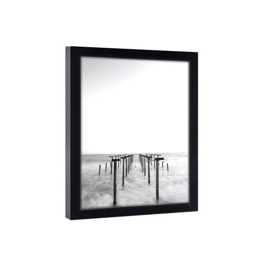 Picture Frames 16x20 , 8x10 , 18x24 , 24x36 , 11x14 , 11x17 , 12x18 , 20x30