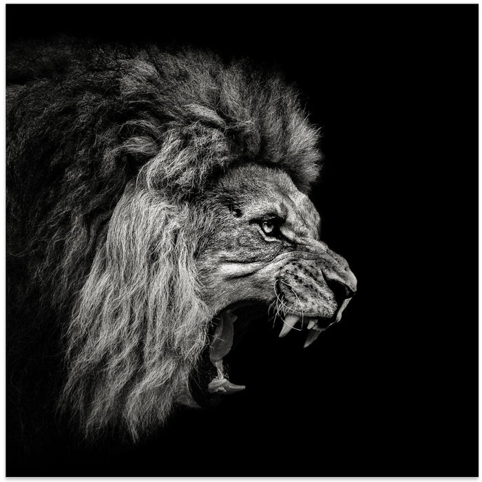 Roaring Lion #2 Square Canvas Art Print