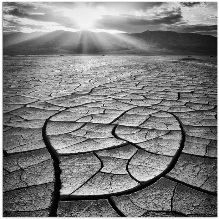 Arid Square Canvas Art Print